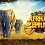 African Elephant Slot