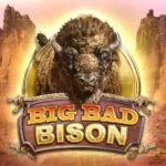 Big Bad Bison Slot